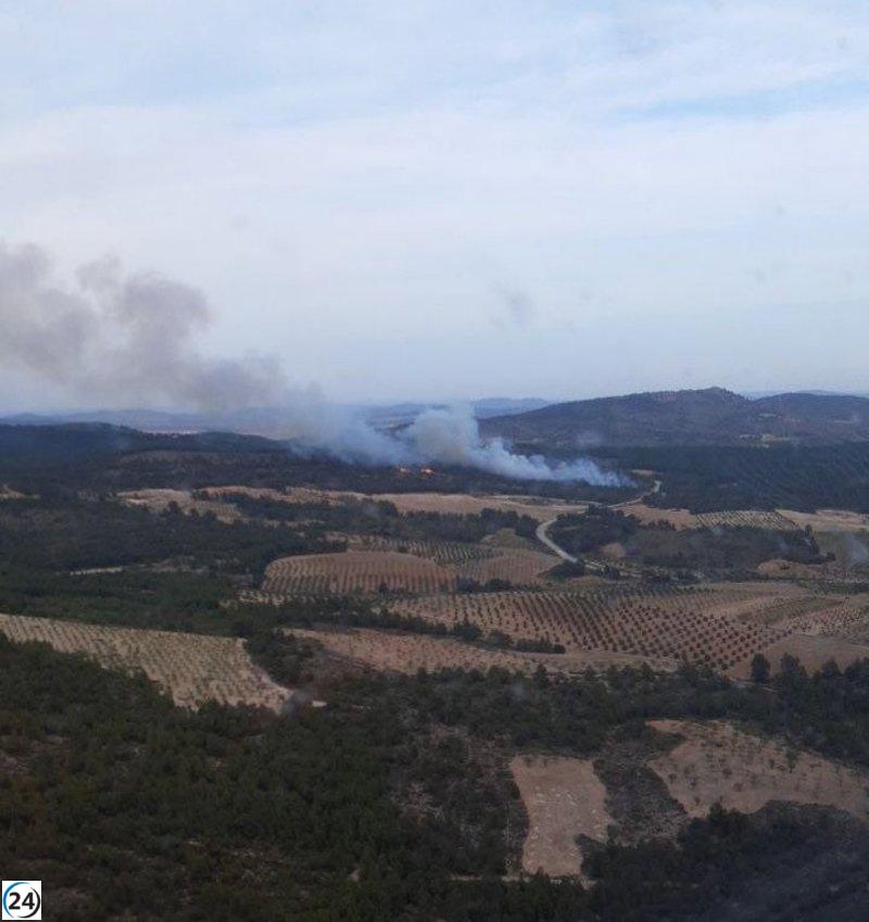 Ayna (Albacete) alcanza nivel 0 en extinción de incendio forestal.