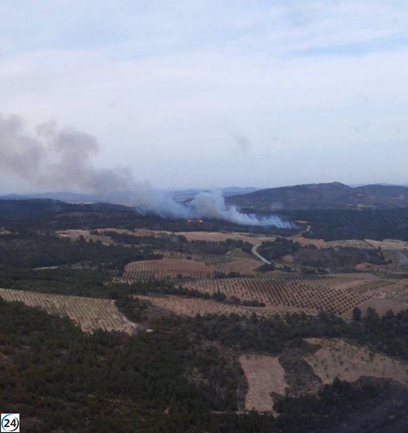Incendio forestal en Ayna (Albacete) bajo control.
