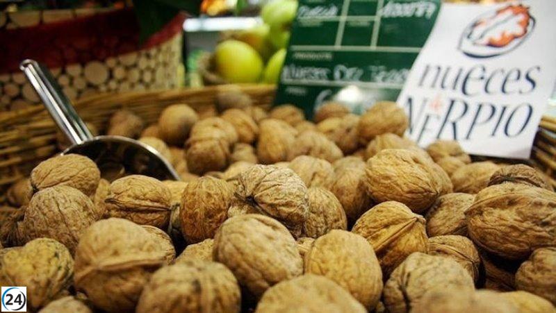 La UE protege las nueces de Nerpio como Denominación de Origen.