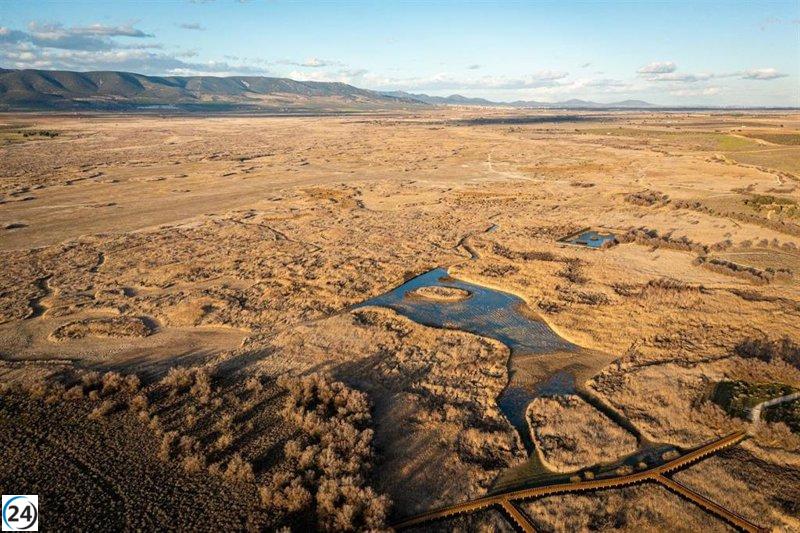 Organizaciones ecologistas exigen a Miteco y Junta un programa urgente para salvar Tablas de Daimiel.