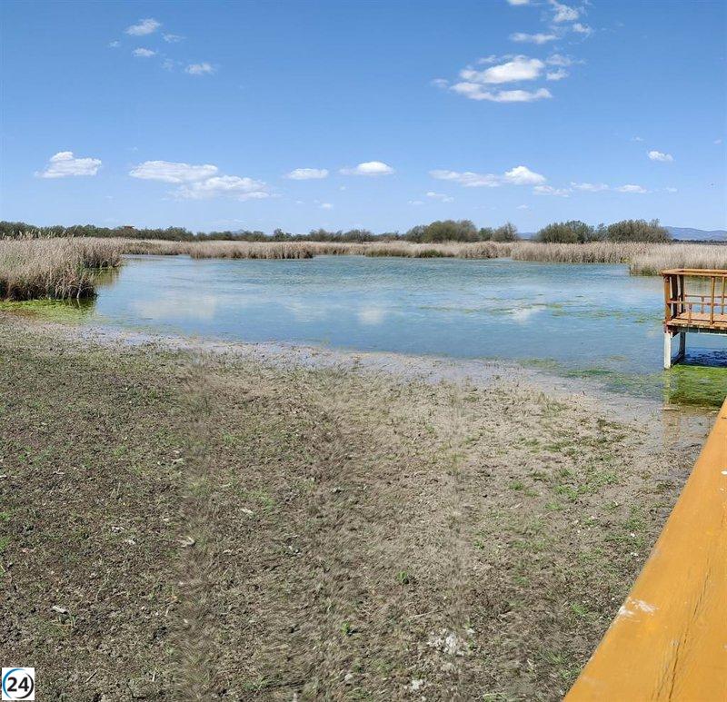 Junta de Castilla-La Mancha admite dificultades en Las Tablas y solicita acciones conjuntas.