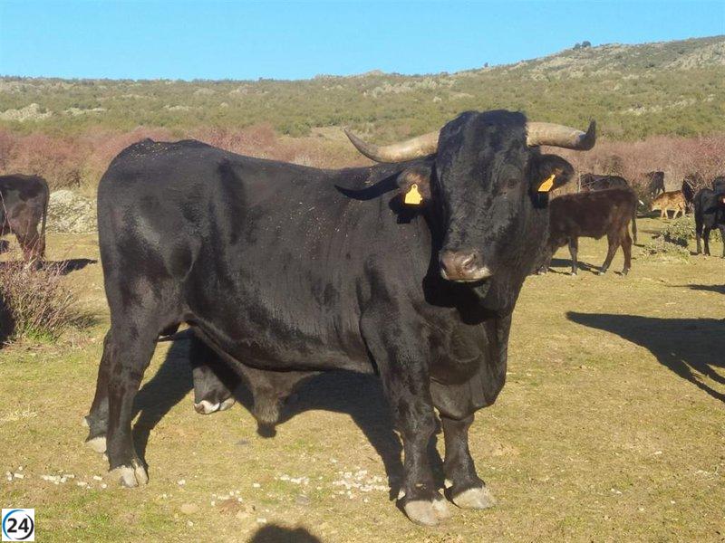 Preocupación por escasez de agua para el ganado en Sierra Norte de Guadalajara