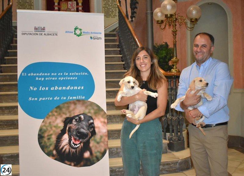 Éxito del programa 'Emperrados' en Albacete con más de 4.000 adopciones de perros abandonados desde 2009.