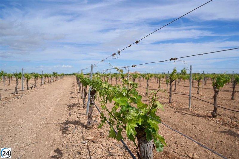 UPA solicita una reunión con Martínez Lizán para asegurar el futuro del sector vitivinícola y revisar la nueva PAC.