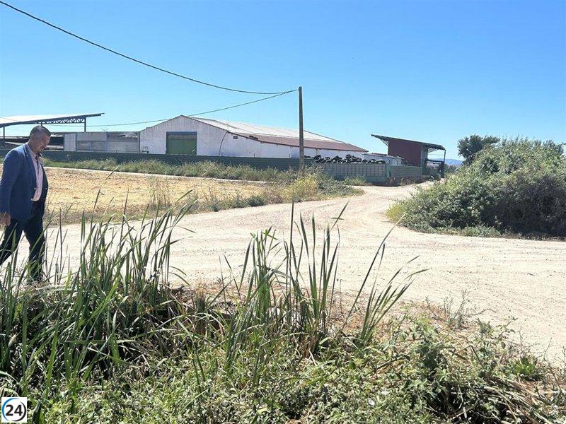 El Ayuntamiento de Talavera desinfectará zonas de cría municipales para combatir la EHE.