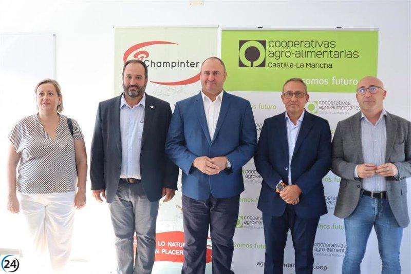 'Hongos y setas de La Manchuela', destacan por su calidad en Castilla-La Mancha
