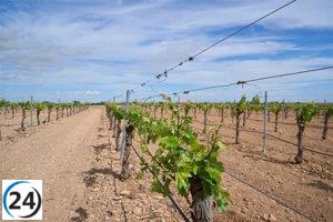 La agricultura se abre a una nueva era de eficiencia hídrica con el lanzamiento de un innovador proyecto de fertirrigación.