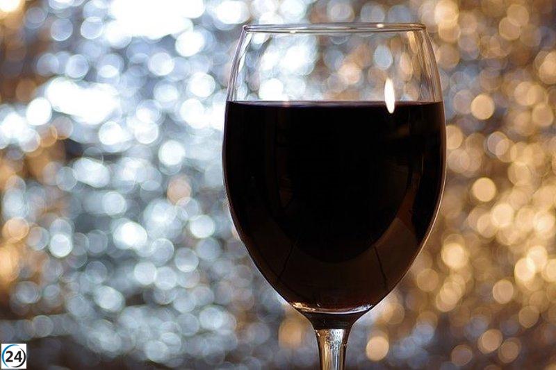 Suspendida declaración de imputados de empresas de vinos por problemas de agenda en la AN.