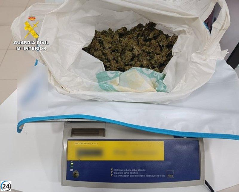 Desarticulan red de narcotráfico en Villarrobledo: incautan 275 gramos de marihuana