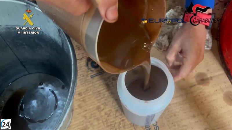Once personas detenidas en España e Italia por tráfico internacional de aceite de oliva adulterado.