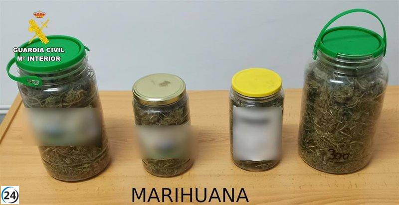 Detención en Elche de la Sierra: Mujer de 51 años aprehendida por delitos relacionados con marihuana.