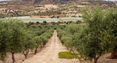 La industria alimentaria castellanomanchega, una de las más potentes de España