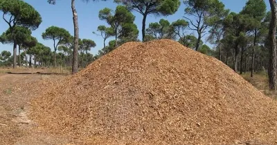 Castilla La Mancha se convierte en pionero en producción de biomasa