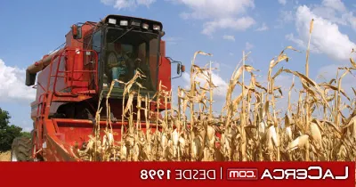 El sector agroalimentario en CLM destaca en la producción de queso