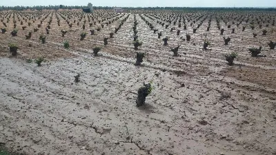 Castilla La Mancha se une a la lucha contra el cambio climático