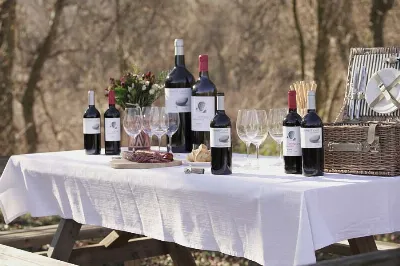 Aprende sobre la filosofía del vino de La Mancha