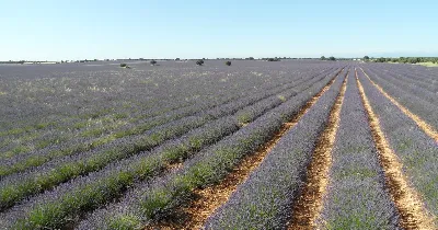 Escapa en un viaje romántico en La Alcarria