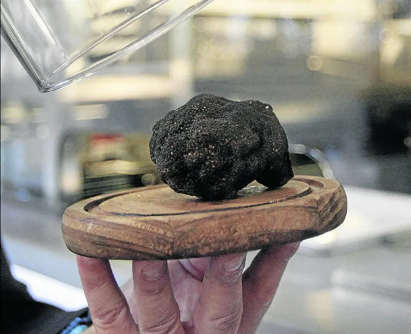La trufa, diamante negro de Castilla-La Mancha